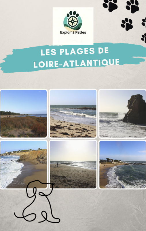 Les plages de Loire- Atlantique