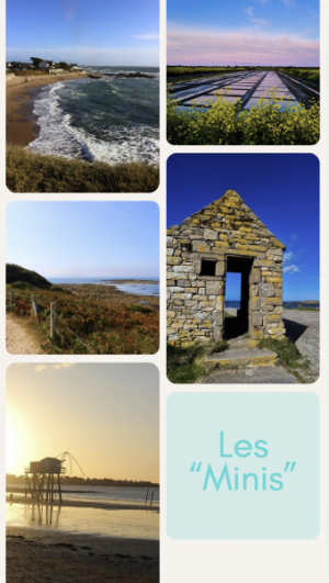 Les minis