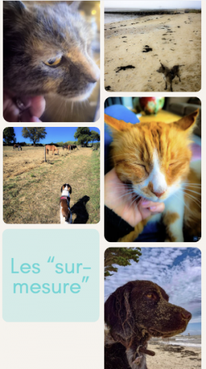 Les séjours "sur- mesure"