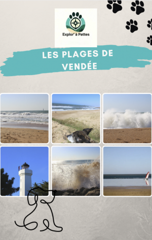 Les plages de Vendée